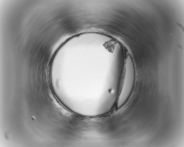 X0000100201054200806271637