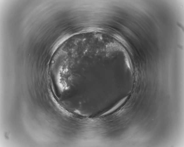 X0000100201055200806271637