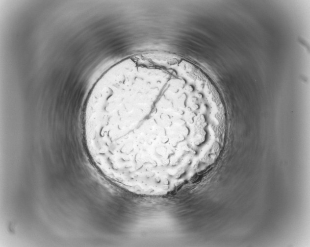 X0000100201056200806271637