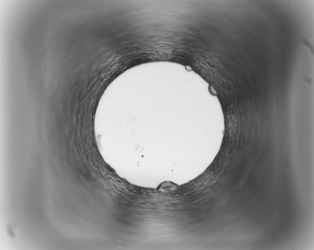 X0000100201057200806271637