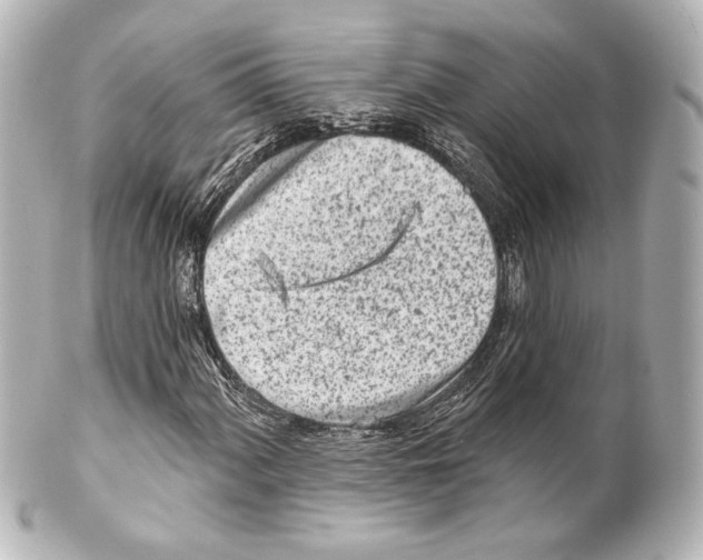 X0000100201060200806271637