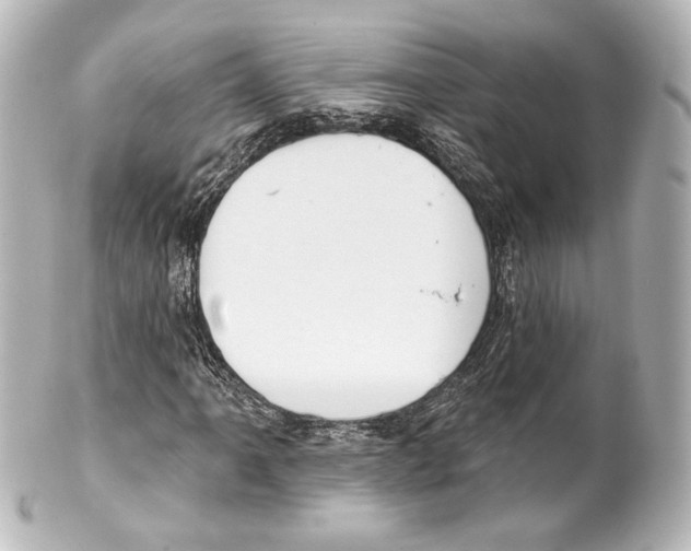 X0000100201061200806271637