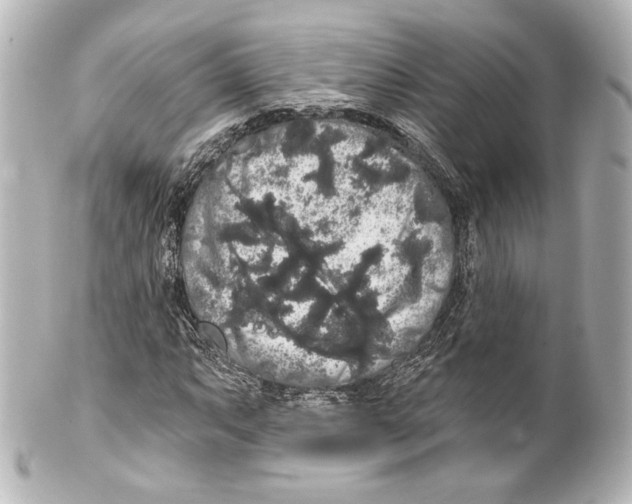 X0000100201063200806271637