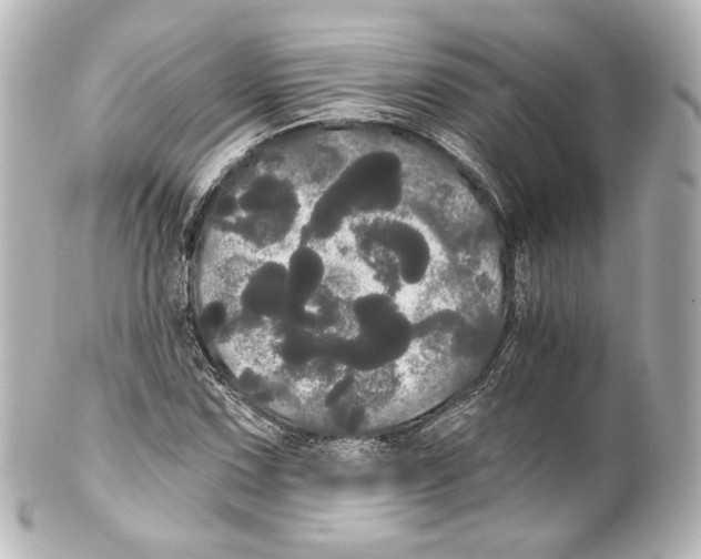 X0000100201067200806271636