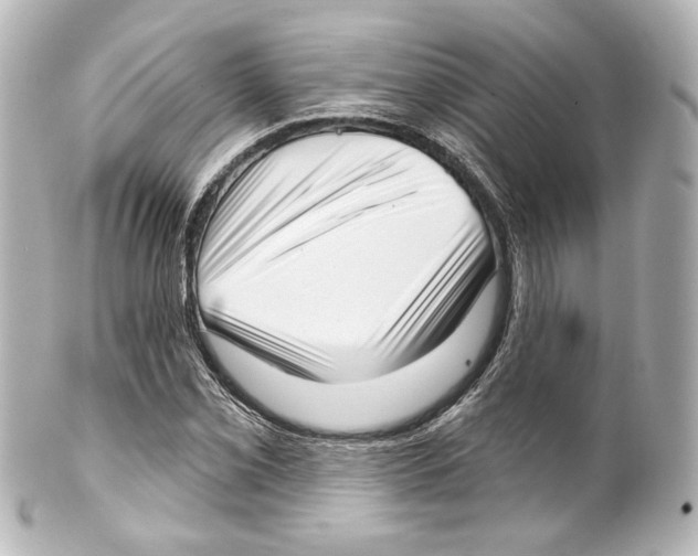 X0000100201069200806271636