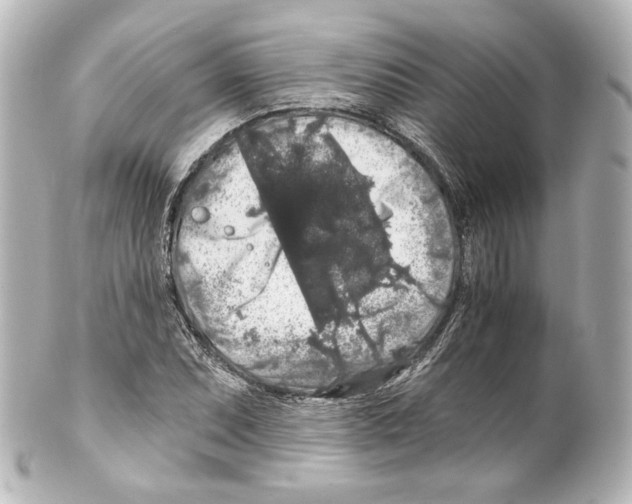 X0000100201071200806271636