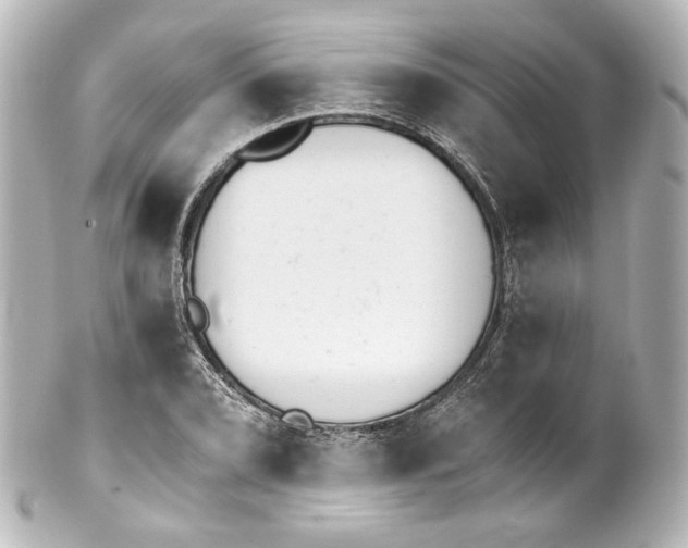 X0000100201072200806271636