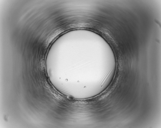 X0000100201073200806271636