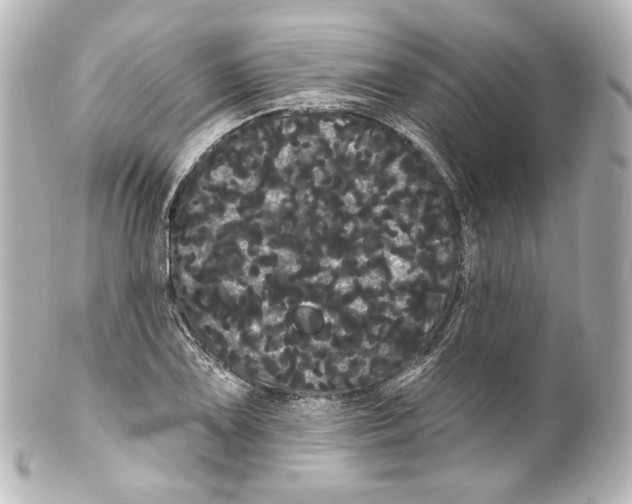 X0000100201075200806271636