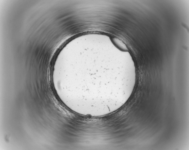 X0000100201076200806271636