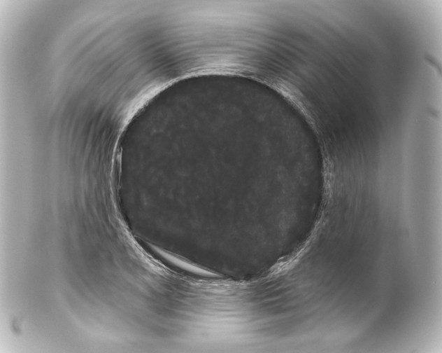 X0000100201077200806271636