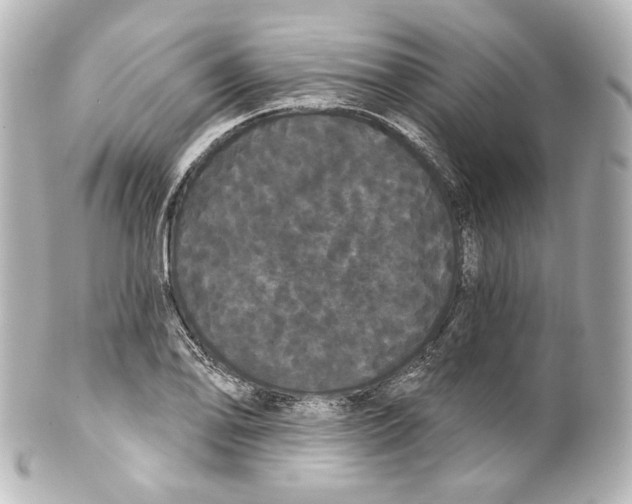 X0000100201078200806271636