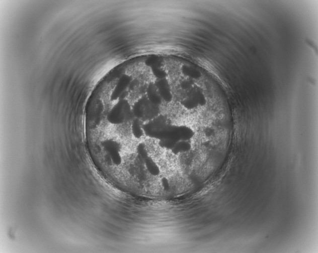 X0000100201079200806271636