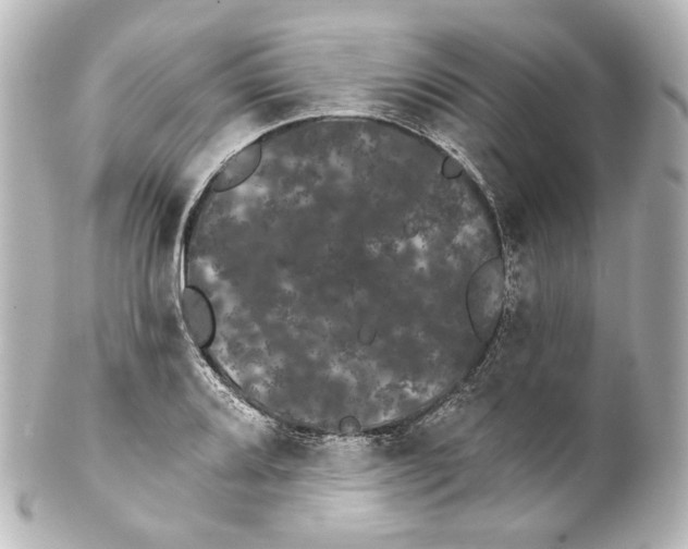 X0000100201080200806271636