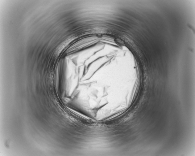 X0000100201081200806271636