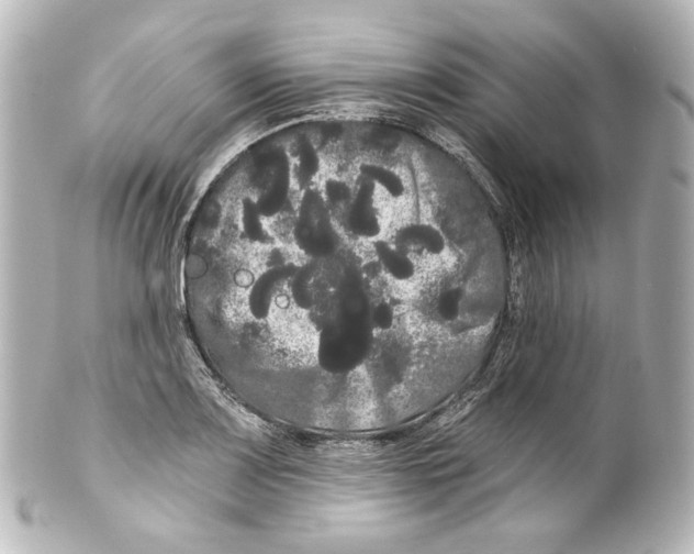 X0000100201083200806271636