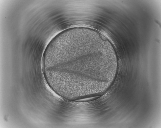 X0000100201084200806271636