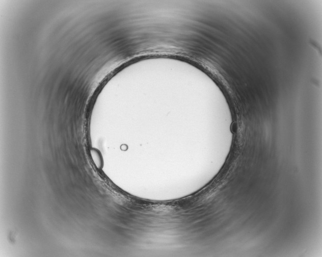 X0000100201085200806271636