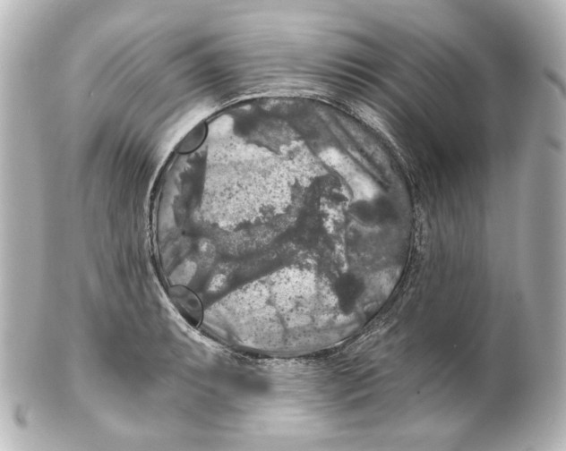 X0000100201087200806271636