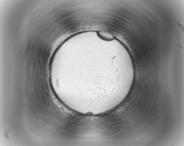 X0000100201088200806271636