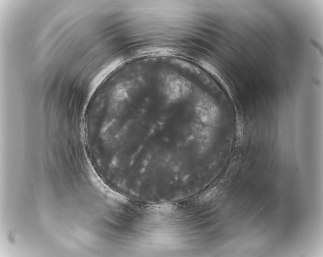 X0000100201090200806271636