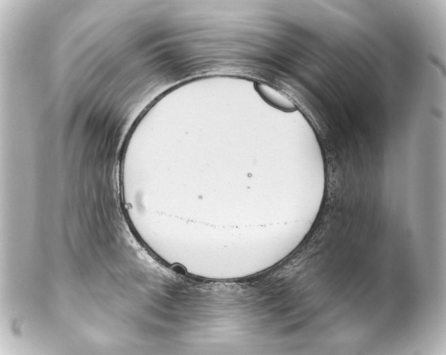 X0000100201092200806271636