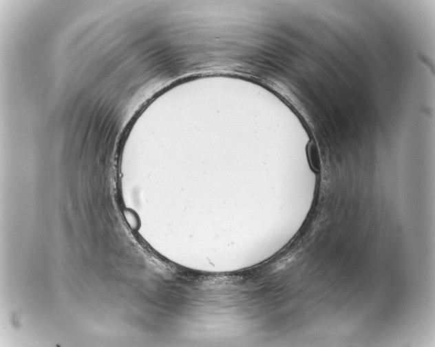 X0000100201093200806271636