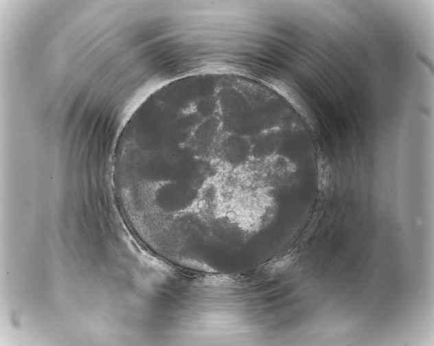 X0000100201094200806271636