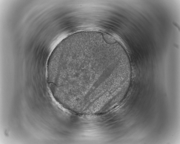 X0000100201095200806271636