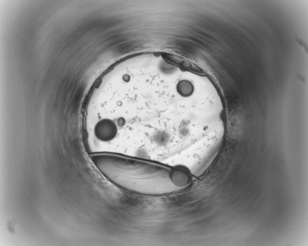 X0000100201096200806271636