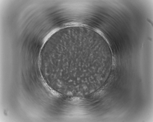 X0000100201098200806271636