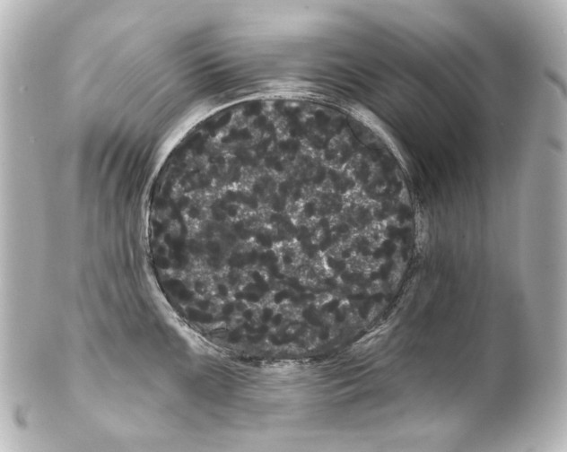 X0000100201099200806271636