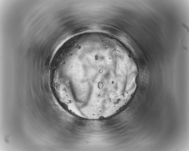 X0000100201100200806271636