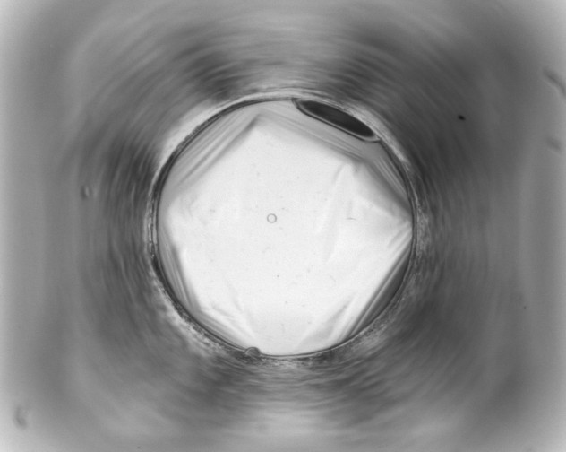 X0000100201101200806271636