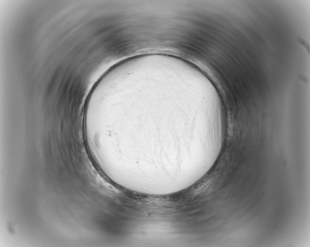 X0000100201102200806271636