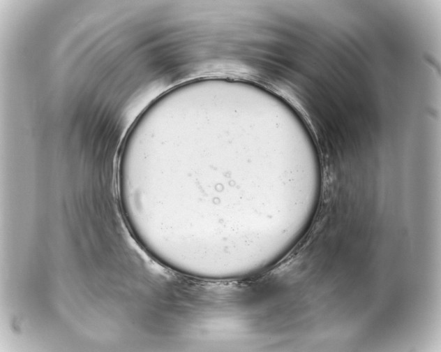 X0000100201103200806271636