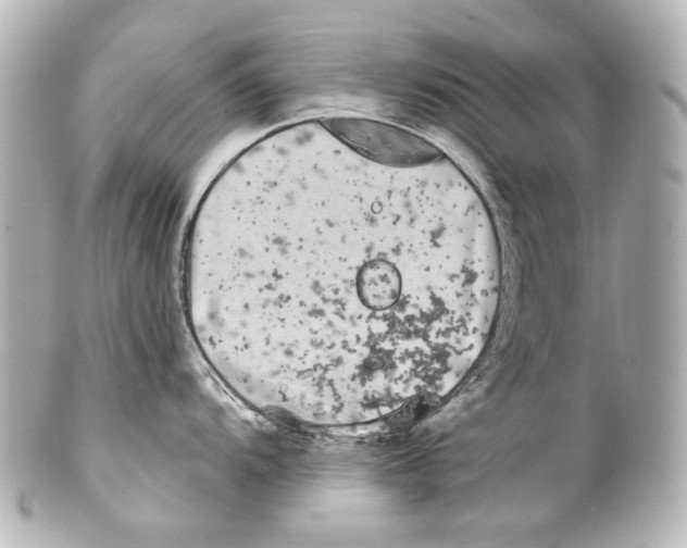 X0000100201104200806271636