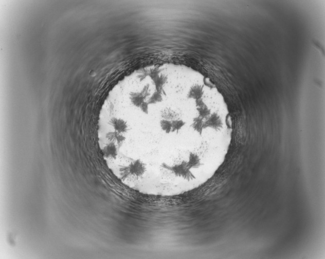 X0000100201105200806271635