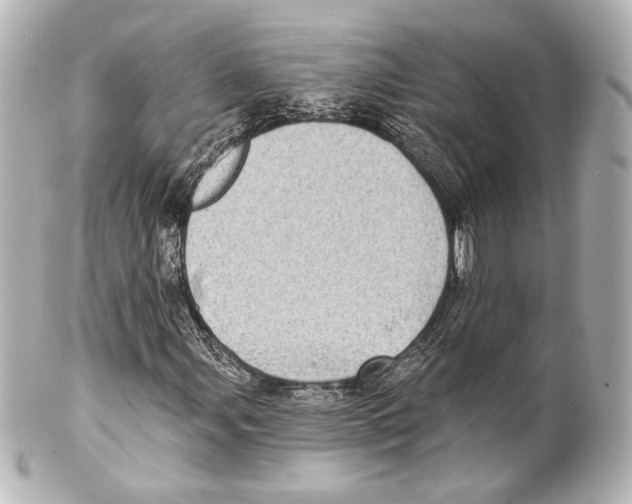 X0000100201107200806271635