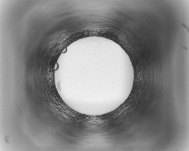 X0000100201109200806271635