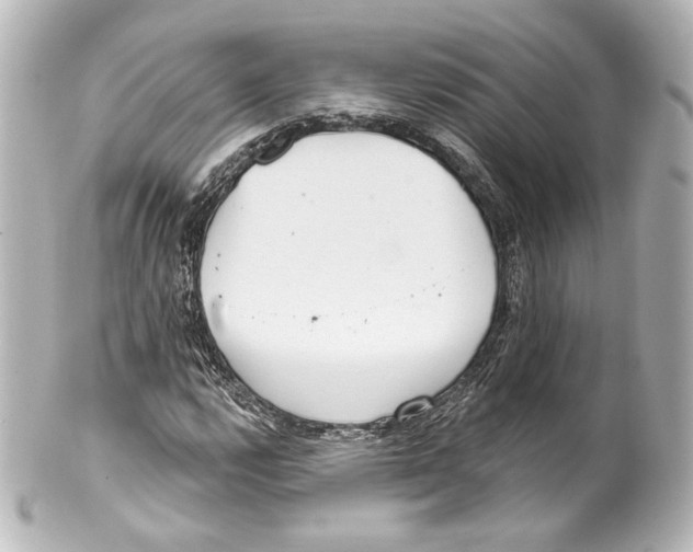 X0000100201112200806271635