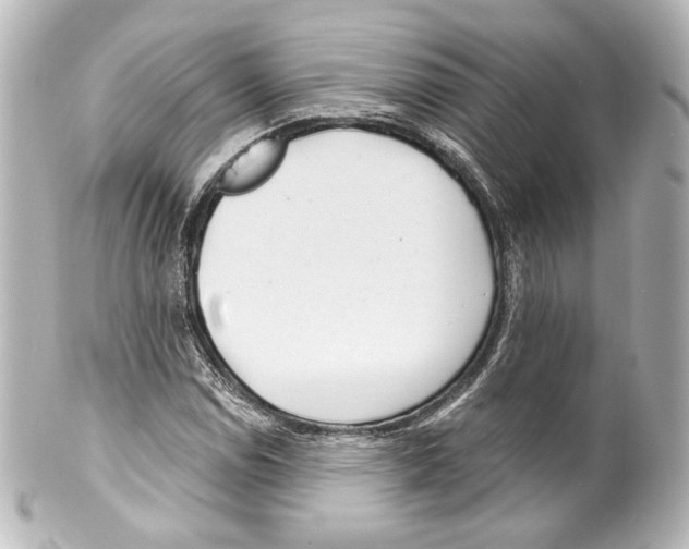 X0000100201114200806271635