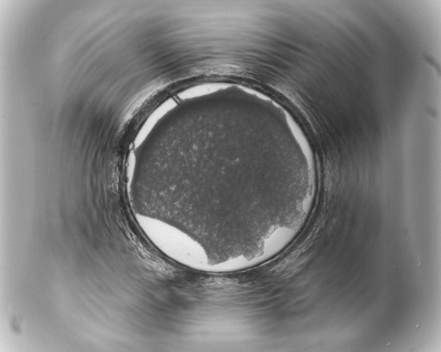 X0000100201115200806271635