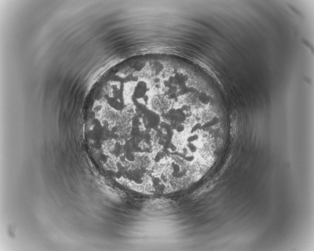 X0000100201117200806271635