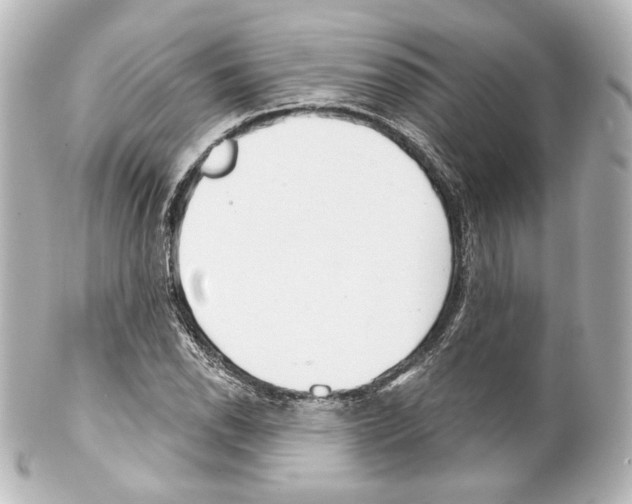 X0000100201118200806271635