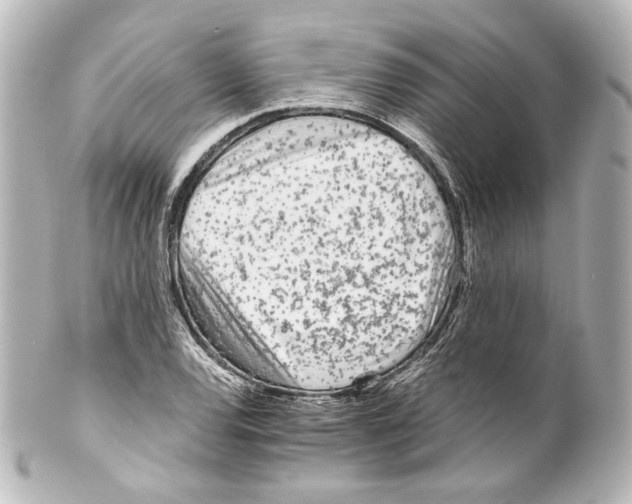 X0000100201120200806271636