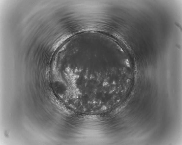 X0000100201121200806271636