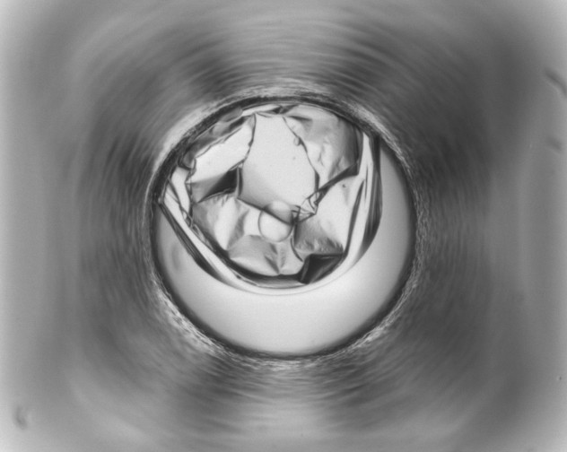 X0000100201122200806271636