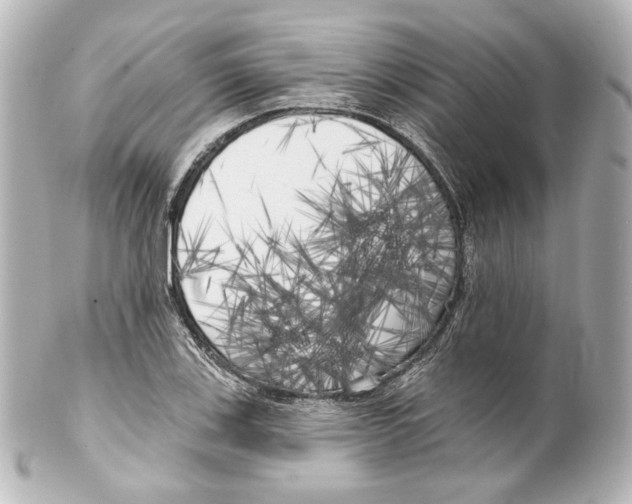 X0000100201123200806271636