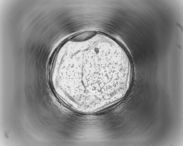 X0000100201124200806271636